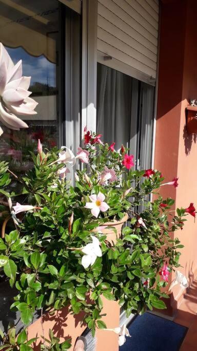 La Casa Di Teri A Chiavari Exterior foto