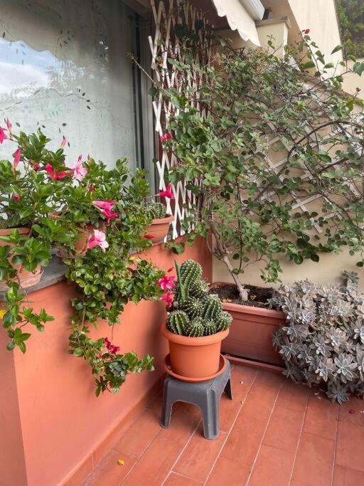 La Casa Di Teri A Chiavari Exterior foto